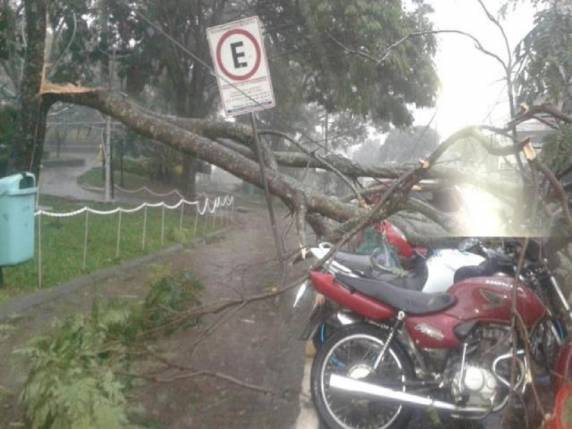 Temporal com vento de 70,4 km/h causa estragos em Chapecó, SC - foto 2