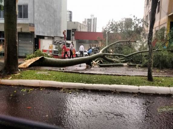 Temporal com vento de 70,4 km/h causa estragos em Chapecó, SC - foto 5