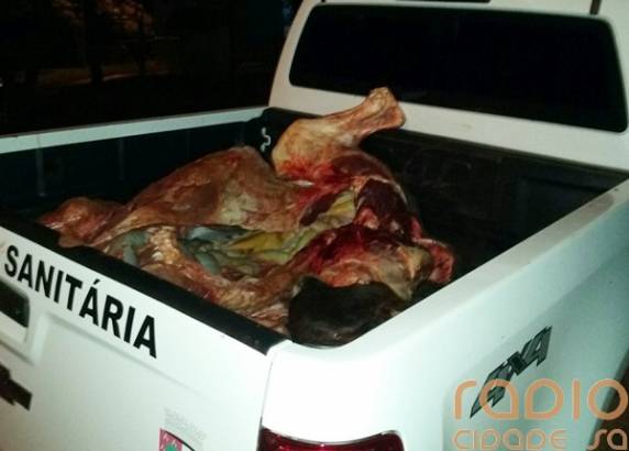 Brigada Militar de Santo Ângelo apreende dois menores abigeatários - foto 2
