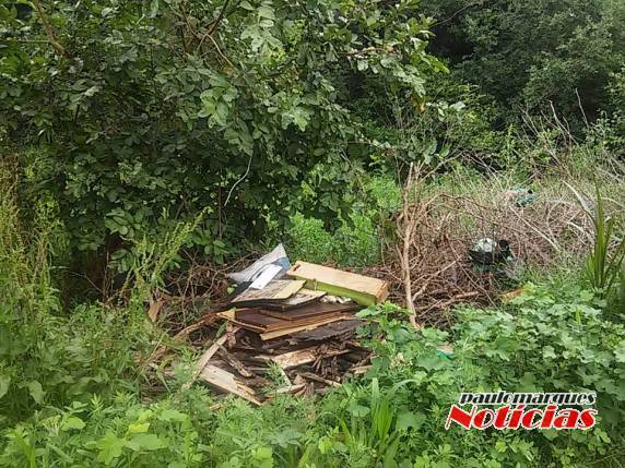 Descarte irregular de lixo eletrônico em Três de Maio - foto 4