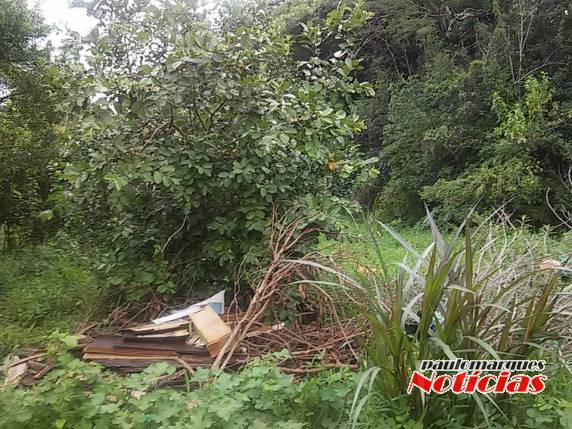 Descarte irregular de lixo eletrônico em Três de Maio - foto 3