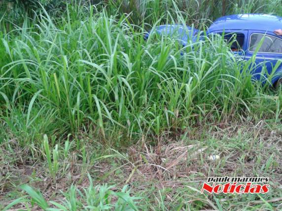 Condutor escapa ileso de uma saída de pista na ERS 342 em Três de
Maio - foto 2