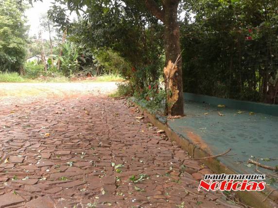 Funcionário da prefeitura de Três de Maio fica ferido depois que caminhão desgovernado desceu uma ladeira - foto 3