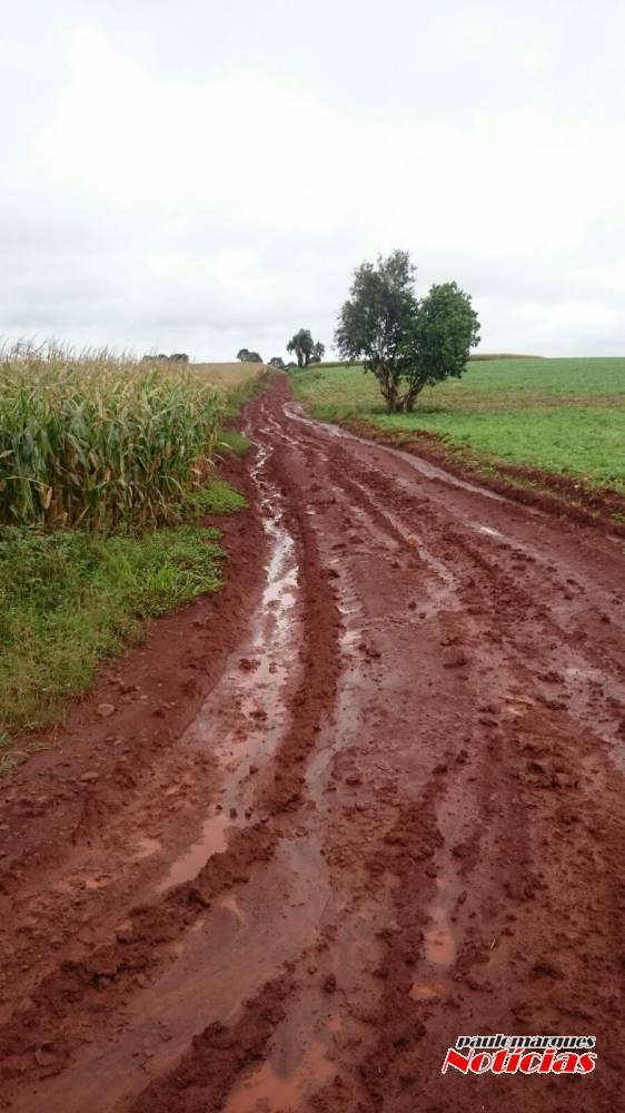 Agricultores reclamam de situação de uma estrada em Beato Anchieta, interior de Três de Maio - foto 3