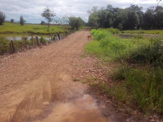 Agricultor de Horizontina espera desde janeiro por
definição da prefeitura para concretizar projeto de piscicultura - foto 3