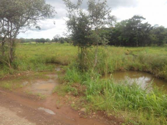 Agricultor de Horizontina espera desde janeiro por
definição da prefeitura para concretizar projeto de piscicultura - foto 4