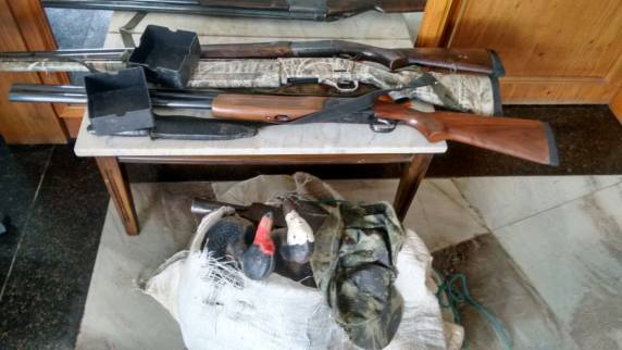 Cinco indivíduos foram presos pelo Pelotão Ambiental da Brigada Militar em Osório - foto 2