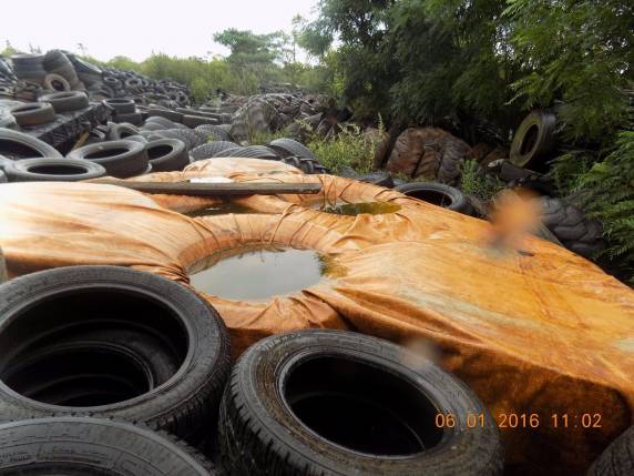 Dono de propriedade 

rural é notificado pelo Batalhão Ambiental da BM de Passo Fundo - foto 2