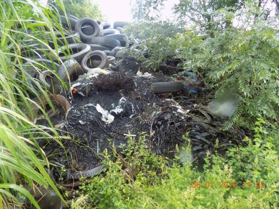 Dono de propriedade 

rural é notificado pelo Batalhão Ambiental da BM de Passo Fundo - foto 5