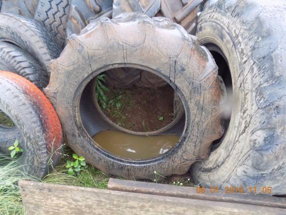 Dono de propriedade 

rural é notificado pelo Batalhão Ambiental da BM de Passo Fundo - foto 4