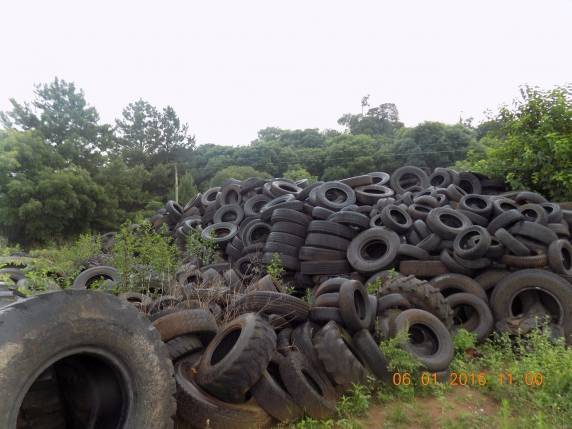 Dono de propriedade 

rural é notificado pelo Batalhão Ambiental da BM de Passo Fundo - foto 3