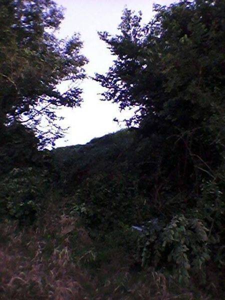 Carro sai da pista desce barranco e capota na BR 285 - foto 2