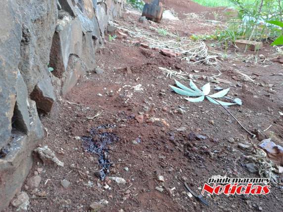 Brigada Militar localiza Jovem morto no bairro Glória em Três de Maio - foto 2