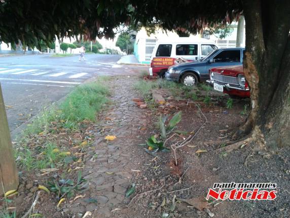 Motorista sai ileso de acidente de trânsito no final da madrugada, no centro de Três de Maio - foto 6