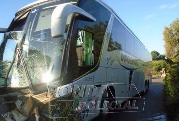 Ônibus com placas de Santa Rosa se envolve em acidente com duas
mortes no Oeste de SC - foto 3