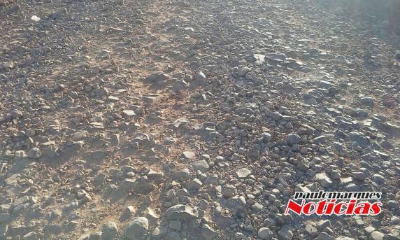 Internauta denúncia falta de conservação na estrada que liga Consolata via Caravágio - foto 3