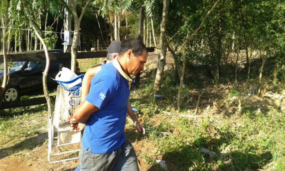 Detento do semiaberto preso em flagrante com 4 quilos
de maconha - foto 2