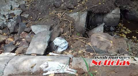 Comunidade de Rincão dos
Correia em Alegria, pedem estrada; VEJA VÍDEO - foto 2