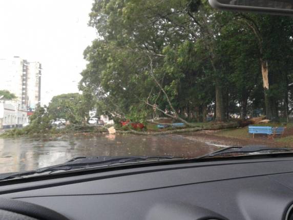 Temporal de menos
de cinco minutos causa estragos em Cruz Alta - foto 3