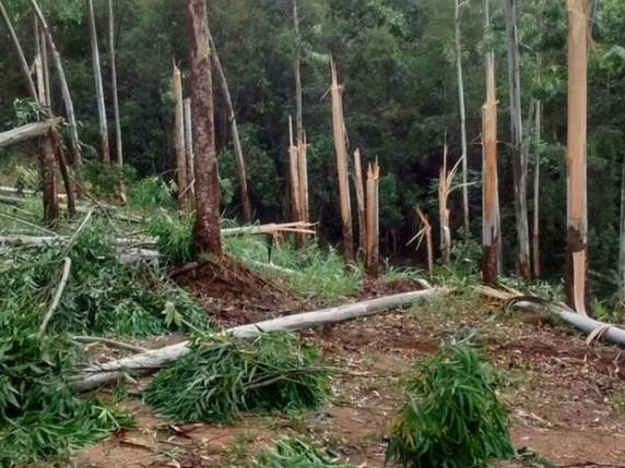 Braço do 

Norte foi o município mais afetado, de acordo com Defesa Civil