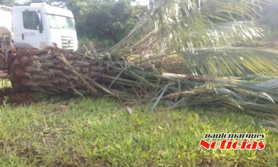 Mulher fica ferida em
estado grave depois de capotar com caminhonete em Santo Augusto - foto 5