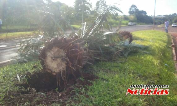 Mulher fica ferida em
estado grave depois de capotar com caminhonete em Santo Augusto - foto 4