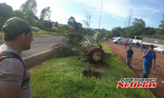 Mulher fica ferida em
estado grave depois de capotar com caminhonete em Santo Augusto - foto 2