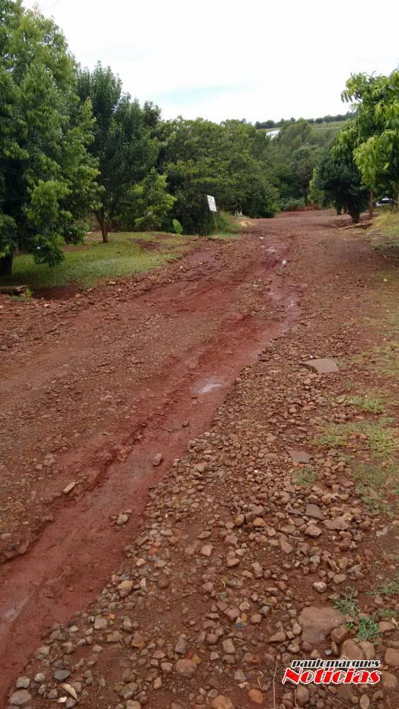 Moradores pedem solução urgente em rua de Três de Maio - foto 3