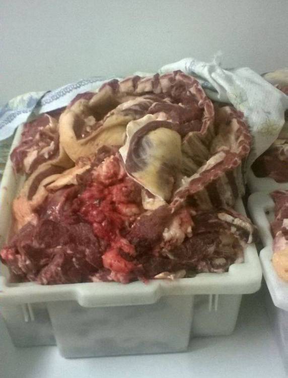 Dono de churrascaria de Horizontina é flagrado transportando carne sem procedência - foto 3