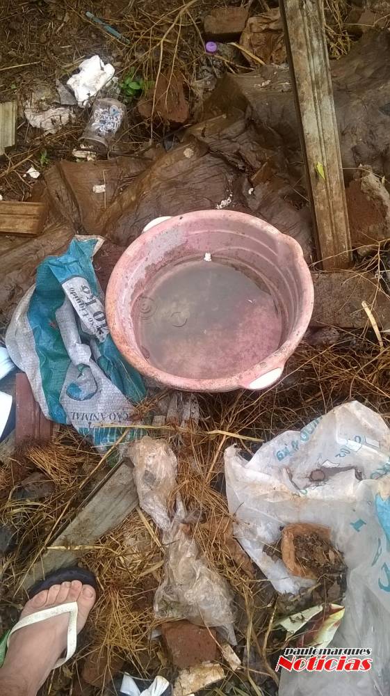 Moradores de Boa Vista
do Buricá reclamam de depósito de lixo sem proteção - foto 4