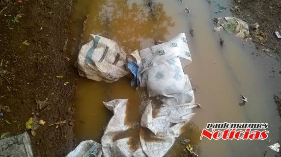 Moradores de Boa Vista
do Buricá reclamam de depósito de lixo sem proteção - foto 7