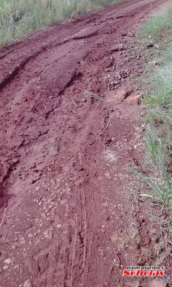 Moradores da localidade de Auxiliadora pedem reparos em estrada - foto 3