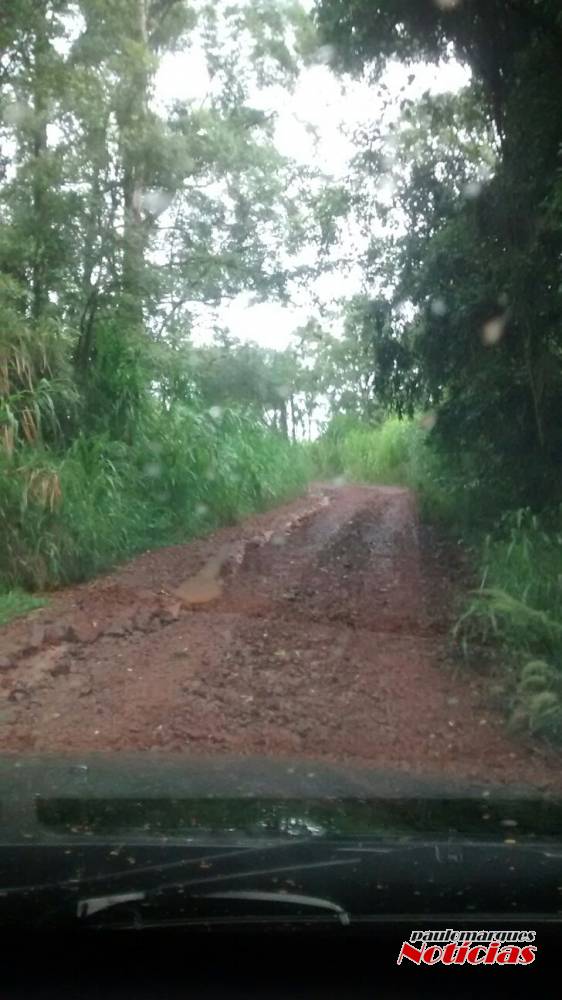 Comunidade de Lajeado Silva pede melhorias em estrada, em Independência; VEJA
VÍDEO - foto 2