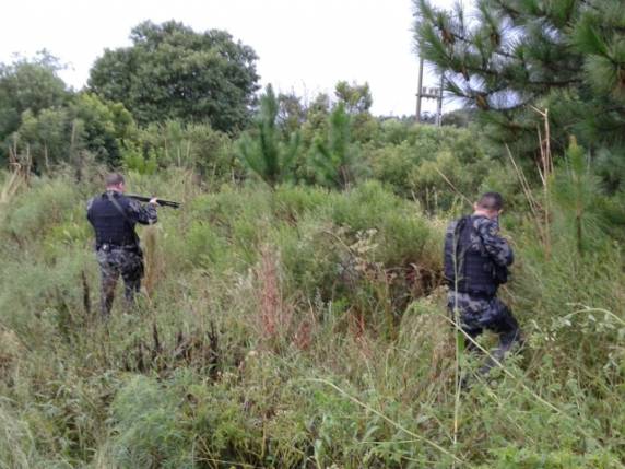 Ação 

rápida do 3º Batalhão Ambiental e do 3º RPOM prende assaltante em Tio Hugo - foto 3