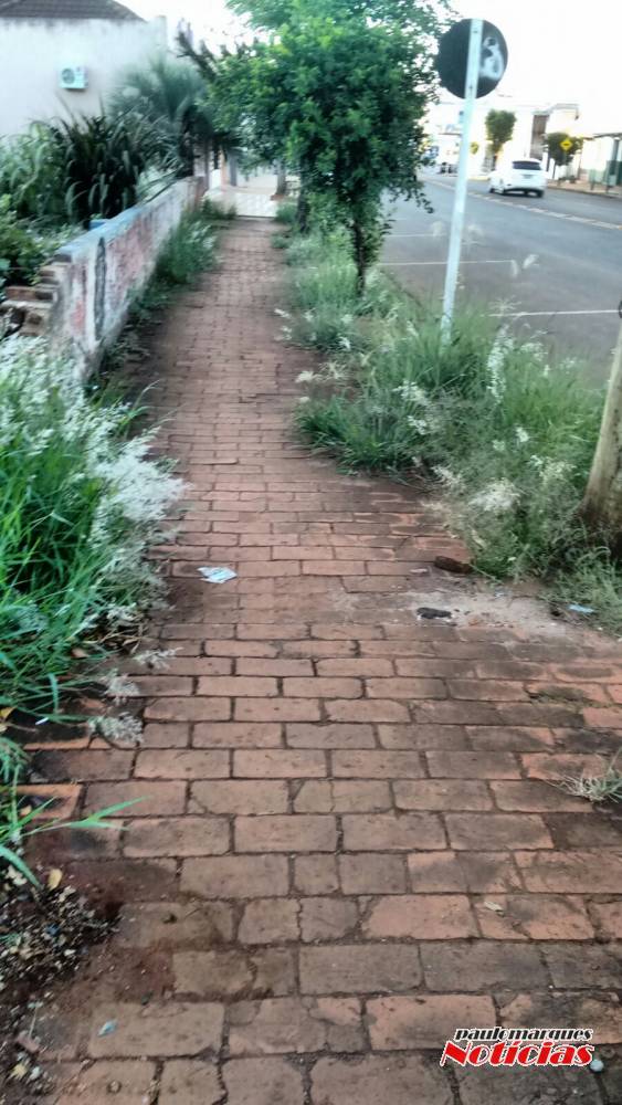 Terreno baldio
tomado por sujeira motiva reclamação, no centro de Três de Maio - foto 3