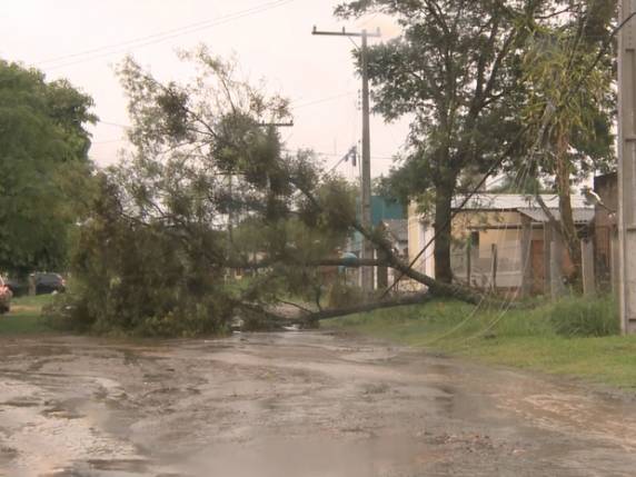 Temporal deixa milhares de clientes sem luz na Fronteira Oeste do RS - foto 3