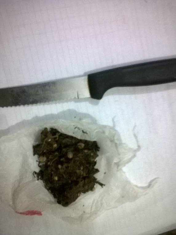 Homem é 

preso com maconha e arma branca em Santa Rosa - foto 2