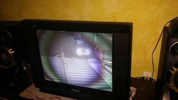 Polícia Militar de Itapema apreende quase 20 kg de maconha - foto 3