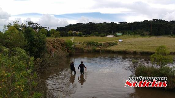Mãe e 2 filhos morrem afogados em lago junto ao Palácio das
Hortênsias - foto 5