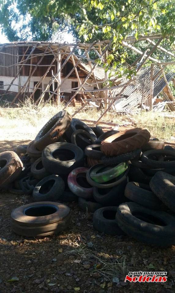 Terreno da prefeitura de Alegria motiva denúncia de munícipe - foto 4