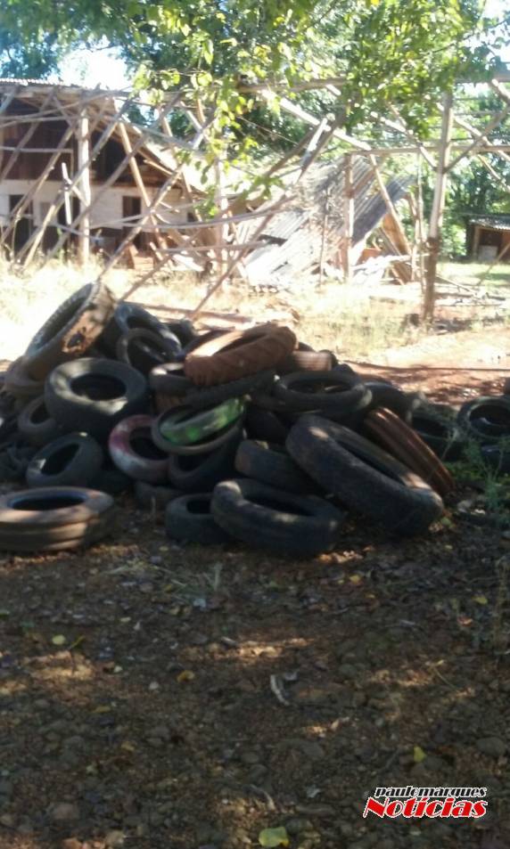 Terreno da prefeitura de Alegria motiva denúncia de munícipe - foto 5