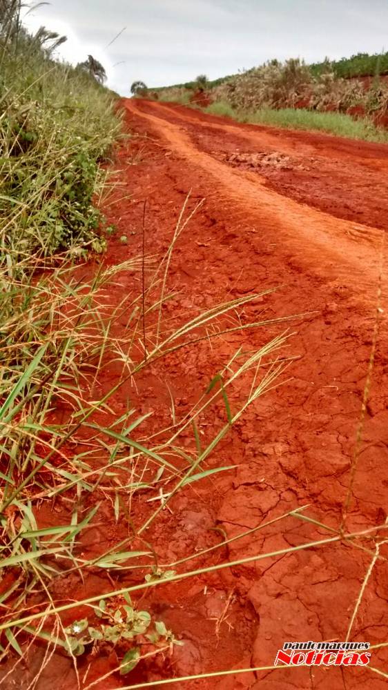 Agricultores reclamam de situação de estrada no interior de Giruá - foto 3
