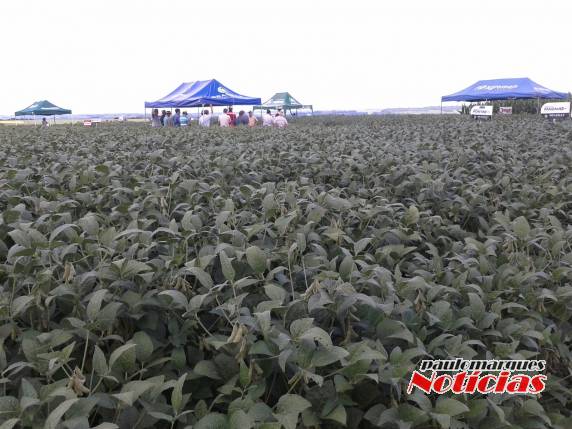 Agricultores participam de Dia de Campo da Vertente Agronegócios - foto 2