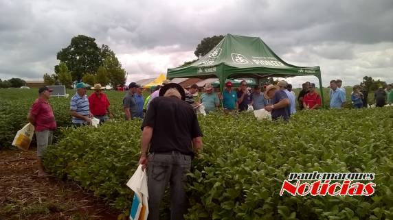 Agricultores participam de Dia de Campo da Vertente Agronegócios - foto 3