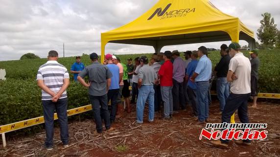 Agricultores participam de Dia de Campo da Vertente Agronegócios - foto 7