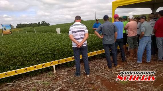 Agricultores participam de Dia de Campo da Vertente Agronegócios - foto 6