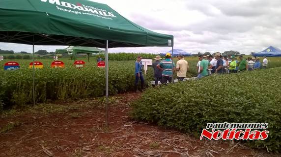 Agricultores participam de Dia de Campo da Vertente Agronegócios - foto 4
