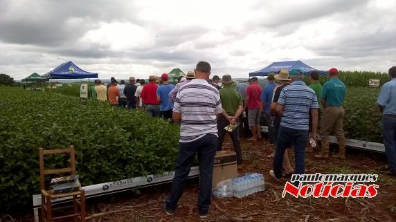 Agricultores participam de Dia de Campo da Vertente Agronegócios - foto 5