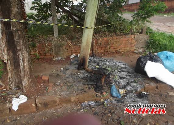 Bombeiros combatem incêndios provocados por atos de vandalismo em Três de Maio - foto 5