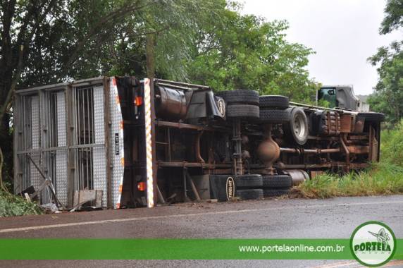 Caminhão carregado com suínos tomba na RSC-472, em Tenente Portela - foto 2